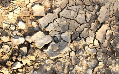 Bodenrisse Isolierte Risse und beschädigte Bruchstelle, Struktur der getrockneten Erde mit Lehm und Sand. Wüste, globale Erwärmung, Klimawandel. Konzept der Dürre und des Todes