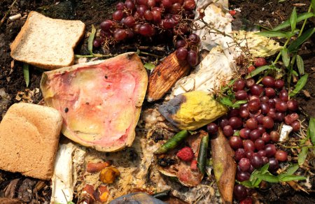 Organische Abfälle, Lebensmittelabfälle, die zur Kompostierung verwendet werden.