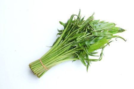 Ein Bündel frischer Rohkost (Lasia spinosa) isoliert auf weißem Hintergrund. Frisches grünes Blattgemüse. Asiatische Zutat. Gesunde vegetarische Kost