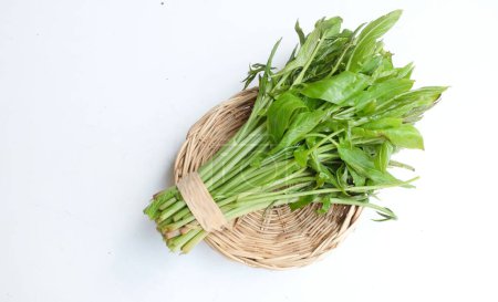 Ein Bündel frischer Rohkost (Lasia spinosa) in einem Holzkorb isoliert vor weißem Hintergrund. Frisches grünes Blattgemüse. Asiatische Zutat. Gesunde vegetarische Kost