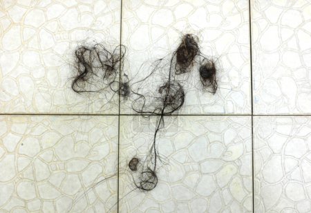 Photo for Long hair pile falling down , Hair loss after shower and washing head skin on floor in bathroom.Waste hair fragments cause Clogged pipe in the bathroom,Problem of cleaning drain. - Royalty Free Image