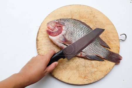 Photo for The cook hands use a knife to cut Fresh raw Tilapia fish Oreochromis niloticus (Linn.) on a wooden cutting board.take the cooking ingredients.Preparing healthy eating - Royalty Free Image