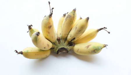 Un bouquet de bananes mûres et jaunes cultivées, de bananes dorées, de Kluay Namwa (Musa sapientum L.) isolées sur fond blanc.