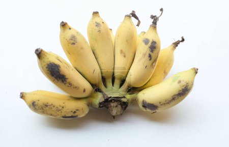 A bunch of ripe  and yellow Cultivated banana,  gold banana , Kluay Namwa,  (Musa sapientum L.) isolate on a white backdrop.Healthy tropical food and fruit ideas