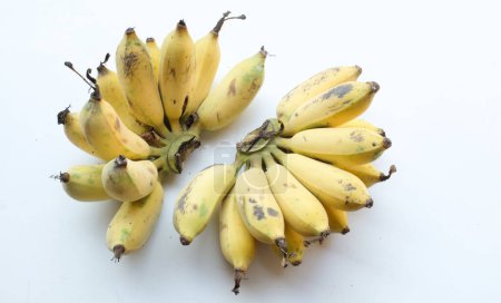 A bunch of ripe  and yellow Cultivated banana,  gold banana , Kluay Namwa,  (Musa sapientum L.) isolate on a white backdrop.Healthy tropical food and fruit ideas