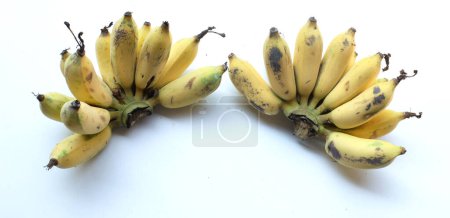 Un bouquet de bananes mûres et jaunes cultivées, de bananes dorées, de Kluay Namwa (Musa sapientum L.) isolées sur fond blanc.