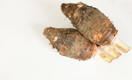 Raíz fresca de taro orgánica cruda, fragante de taro, (colocasia esculenta) es un tipo de cabeza grande.con un agradable olor aislado en un fondo blanco.Raíz de taro listo para cocinar alimentos y postres saludables