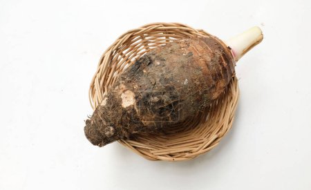 Fresh raw organic Taro root ,taro fragrant ,(colocasia esculenta) whole and halfis in basket a large head type.with a pleasant smell isolate on a white backdrop.taro root ready to cooking food 