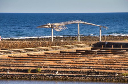 Foto de Traditional methods of sea salt production. Salinas del Carmen, Fuerteventura, Canary Islands, Spain - Imagen libre de derechos