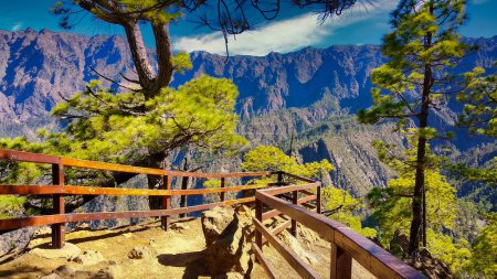 La Cumbrecita balcony, Caldera de Taburiente National Park, La Palma island, Spain, Europe