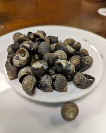 Téléchargez les photos : Bigaros, escargots de mer cuits, accompagnement typique lors de la consommation de cidre dans les Asturies, Espagne, Europe - en image libre de droit