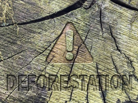Foto de Señal de peligro y palabra deforestación grabada en la superficie de un tronco cortado - Imagen libre de derechos