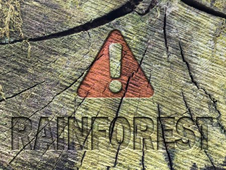 Foto de Señal de peligro y palabra selva tropical grabada en la superficie de un tronco cortado - Imagen libre de derechos