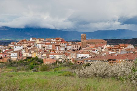 Panoramic view of Entrena village, La Rioja, Spain, Europe