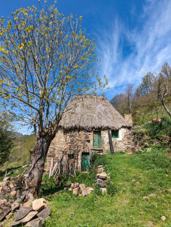 Woods and meadows near Santibanez de Murias village, Aller, Asturias, Spain