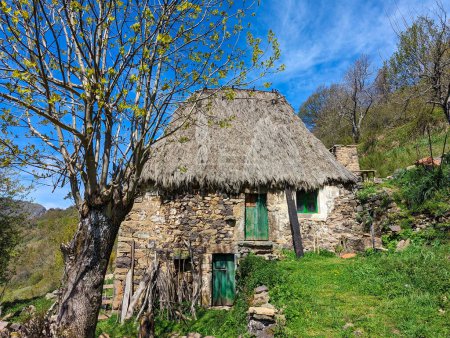 Woods and meadows near Santibanez de Murias village, Aller, Asturias, Spain