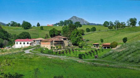 Nevares palace and vineyards, Parres municipality, Asturias, Spain