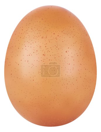 Photorealistic chicken egg in the style of 3D realism. Vector illustration of chicken egg isolated on white background