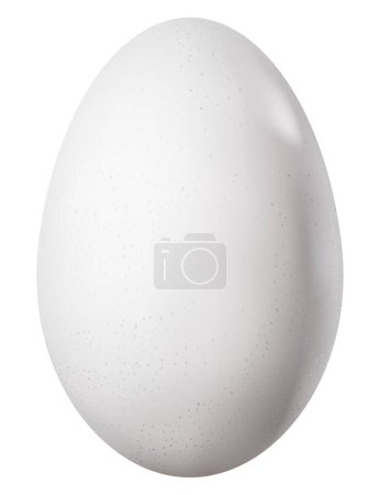 Photorealistic goose egg in the style of 3D realism. Vector illustration of chicken egg isolated on white background