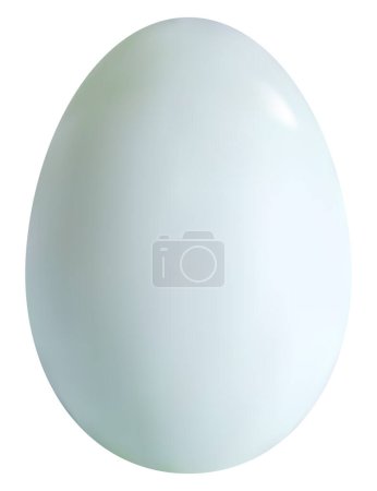 Photorealistic duck egg in the style of 3D realism. Vector illustration of chicken egg isolated on white background