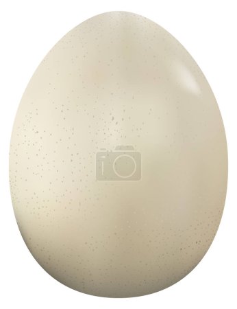 Photorealistic ostrich egg in the style of 3D realism. Vector illustration of guinea fowl egg isolated on white background