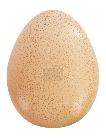 Photorealistic guinea fowl egg in the style of 3D realism. Vector illustration of chicken egg isolated on white background