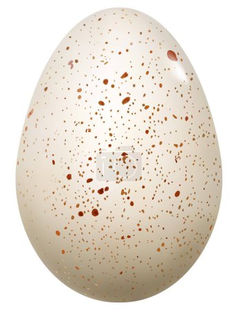 Photorealistic turkey egg in the style of 3D realism. Vector illustration of guinea fowl egg isolated on white background