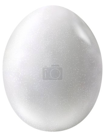 Photorealistic dove egg in the style of 3D realism. Vector illustration of chicken egg isolated on white background