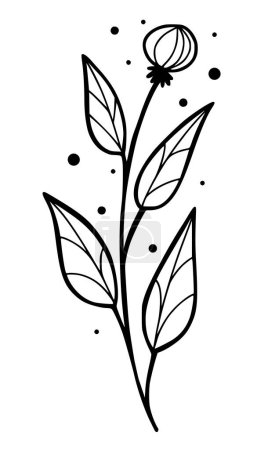 Ilustración de Hierba de cardo garabato dibujado a mano, ilustración vectorial aislada con fondo blanco - Imagen libre de derechos