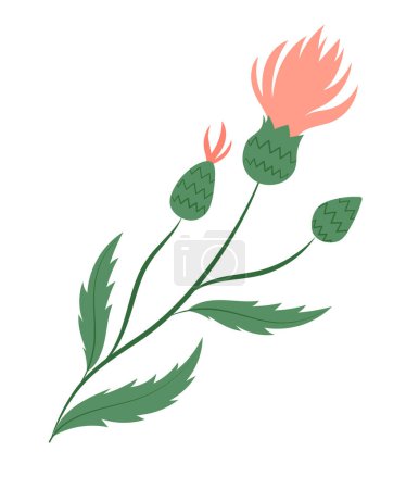 Illustration for Carduus wild plant, hand drawn isolated vector illustration in flat design - Royalty Free Image