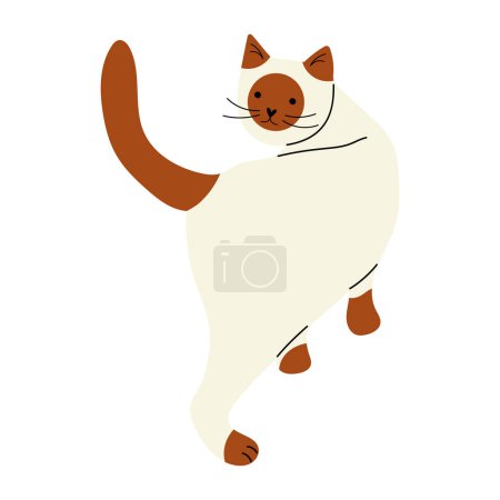 Illustration for Cute Siamese cat turning around, hand drawn domestic animal vector illustration in flat style - Royalty Free Image