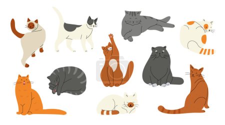 Illustration for Set with different cat breeds in flat doodle design. Hand drawn vector illustrations isolated on white - Royalty Free Image