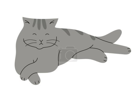Illustration for Sleepy British shorthair cat, hand drawn vector illustration in flat design, isolated on white - Royalty Free Image