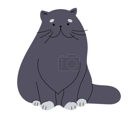 Illustration for Cute fluffy Persian cat, hand drawn vector illustration in flat design, isolated on white - Royalty Free Image
