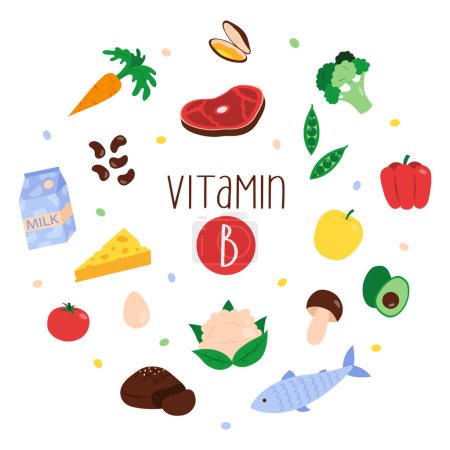 Illustration for Collection of vitamin B sources. Dietetic products, organic natural nutrition. Flat vector illustration - Royalty Free Image