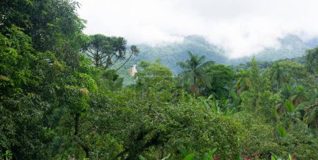 Atlantic forest landscape with mountains, clouds and waterfall