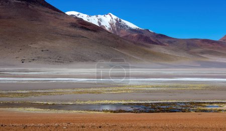 Foto de Lagunas en el desierto del altiplano boliviano - Imagen libre de derechos