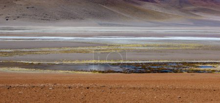 Foto de Lagunas en el desierto del altiplano boliviano - Imagen libre de derechos