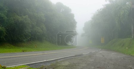 Estrada da Graciosa, state of Paran, Brazil, on a foggy day
