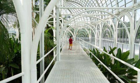Innenraum des Gewächshauses im Botanischen Garten von Curitiba, Bundesstaat Paran, Brasilien. Gewächshaus mit Pflanzenarten aus dem atlantischen Wald