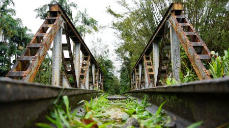 Téléchargez les photos : Vieux pont en fer, chemin de fer reliant les villes historiques de Morretes et Antonina, forêt atlantique, sud du Brésil - en image libre de droit