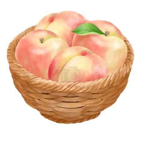 Illustration eines Pfirsichs voller Körbe