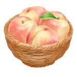 Illustration of a peach full of baskets