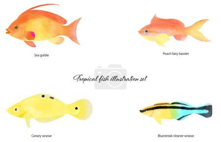 Téléchargez les photos : Matériel d'illustration pour poissons tropicaux - en image libre de droit