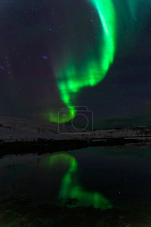 Téléchargez les photos : Aurore boréale lumière nordique tromso norway - en image libre de droit