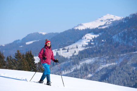 Téléchargez les photos : Belle et active femme âgée raquette dans la neige poudreuse profonde sous le mont Hochgrat dans les montagnes des Alpes Allgau près d'Oberstaufen et Steibis, Bavière, Allemagne - en image libre de droit