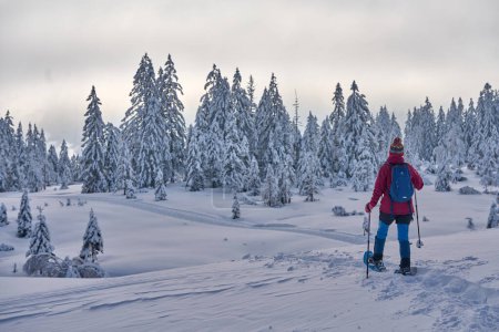 Foto de Senderismo mujer mayor agradable y activa con raquetas de nieve en nieve en polvo profundo en la zona de Hochhaedrich del bosque de Bregenz en Vorarlberg, Austria - Imagen libre de derechos