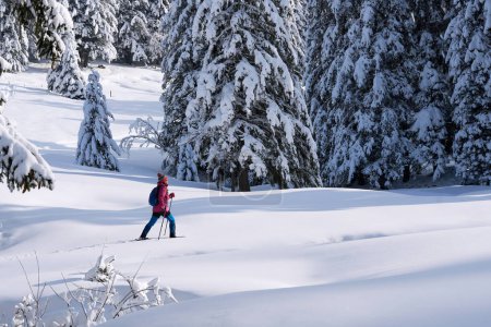 Schöne und aktive Seniorin beim Wandern mit Schneeschuhen im Tiefschnee im Hochhaedrich Bregenzerwald in Vorarlberg, Österreich