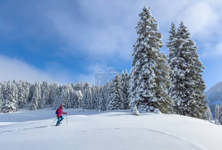 nice and active senior woman hiking with snow shoes in deep powder snow in the Hochhaedrich area of Bregenz Forest in Vorarlberg, Austria