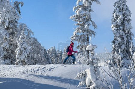 Téléchargez les photos : Belle et active femme âgée randonnée avec des raquettes dans la neige poudreuse profonde dans la région de Hochhaedrich de la forêt de Bregenz à Vorarlberg, Autriche - en image libre de droit